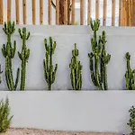 Thalassa Naxos Aparthotel Kastrákion