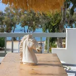 Thalassa Naxos 4*