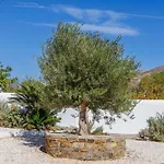 Thalassa Naxos Apart Otel Kastrákion