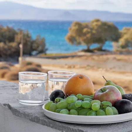 Thalassa Naxos Hotel apartamentowy