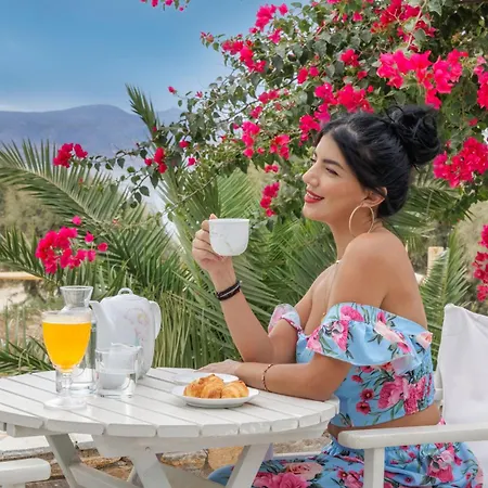 Thalassa Naxos Lejlighedshotel