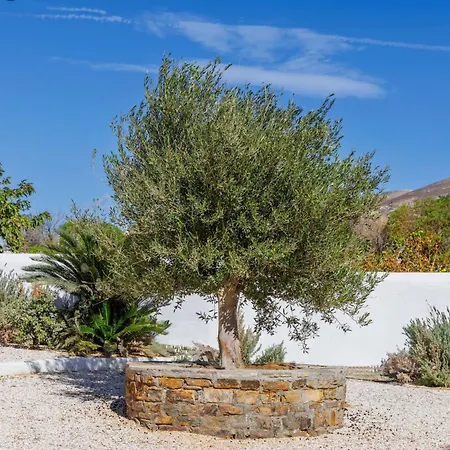 Thalassa Naxos Lejlighedshotel Kastrákion