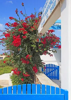 Thalassa 3* Kastraki (Naxos)
