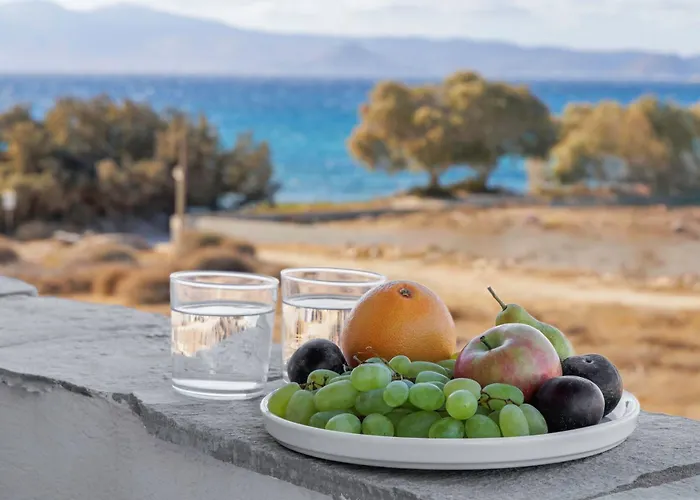 Thalassa Naxos Hotel apartamentowy