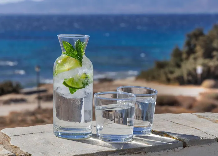 Apart Otel Thalassa Naxos 4*