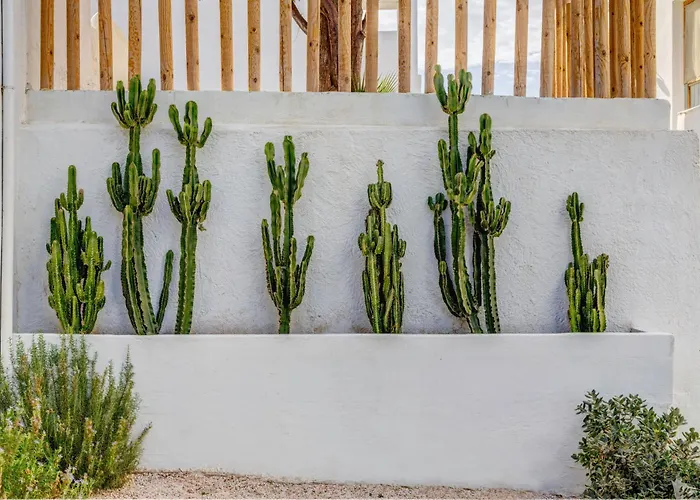 Thalassa Naxos Hotel apartamentowy Kastrákion