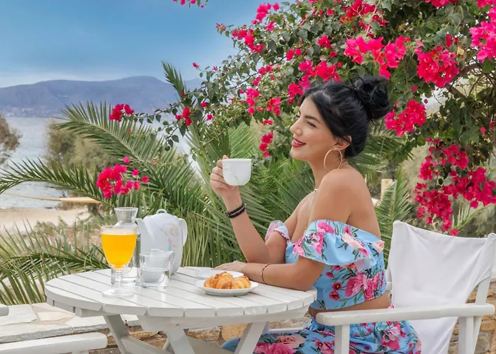 Thalassa Naxos Apart Otel