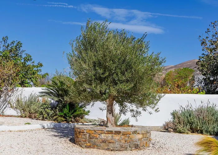 Thalassa Naxos Apart Otel Kastrákion